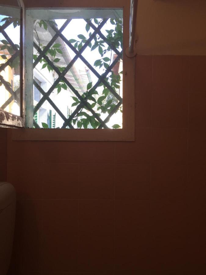 Appartamenti Gloria Marina Di Pisa Εξωτερικό φωτογραφία