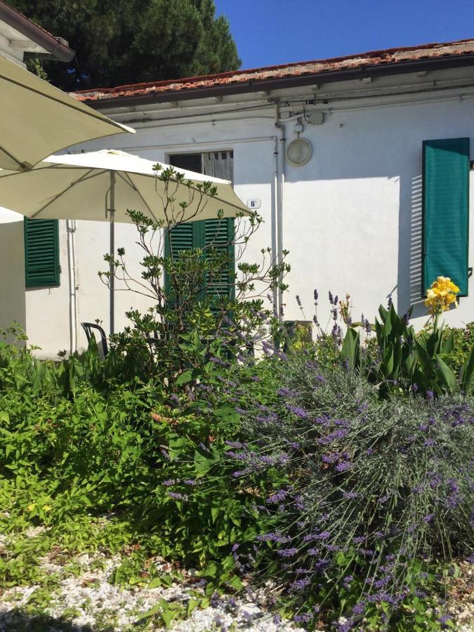 Appartamenti Gloria Marina Di Pisa Εξωτερικό φωτογραφία